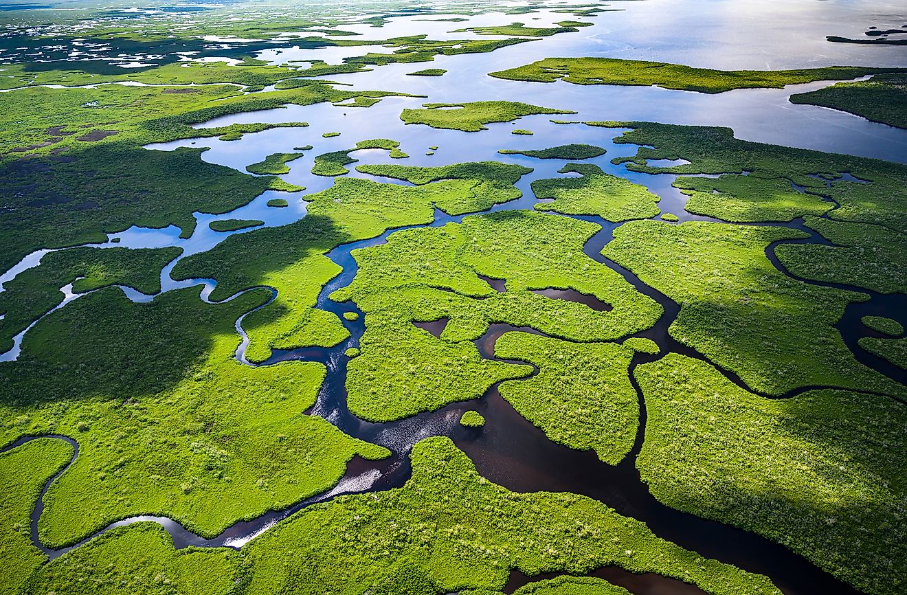 Aerial view of Everglades National Park in Florida
