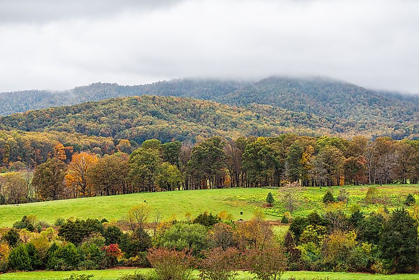 A view of the mountains in Albemarle county, Virginia