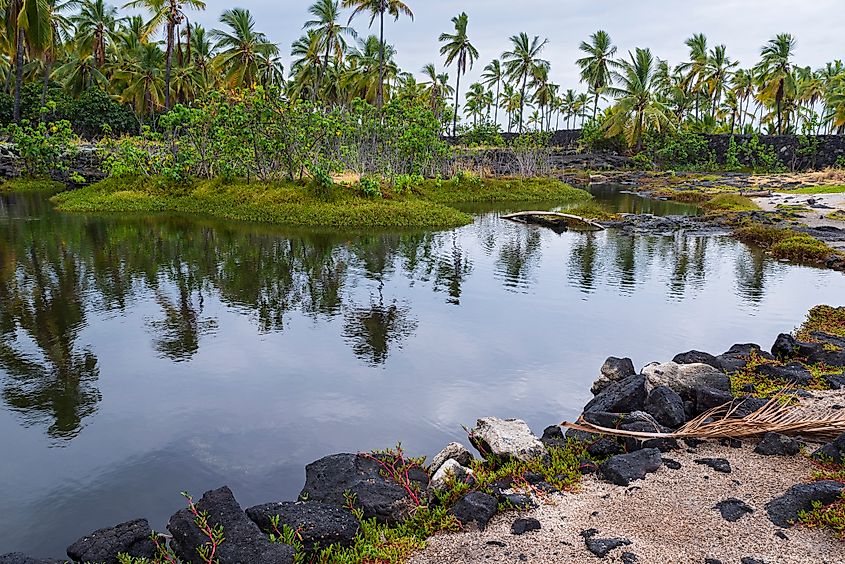 View of an anchialine pool at Puʻuhonua o Hōnaunau National Historical Park