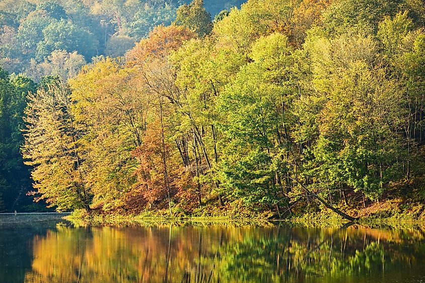 View of a lake at Tomlinson Run State Park