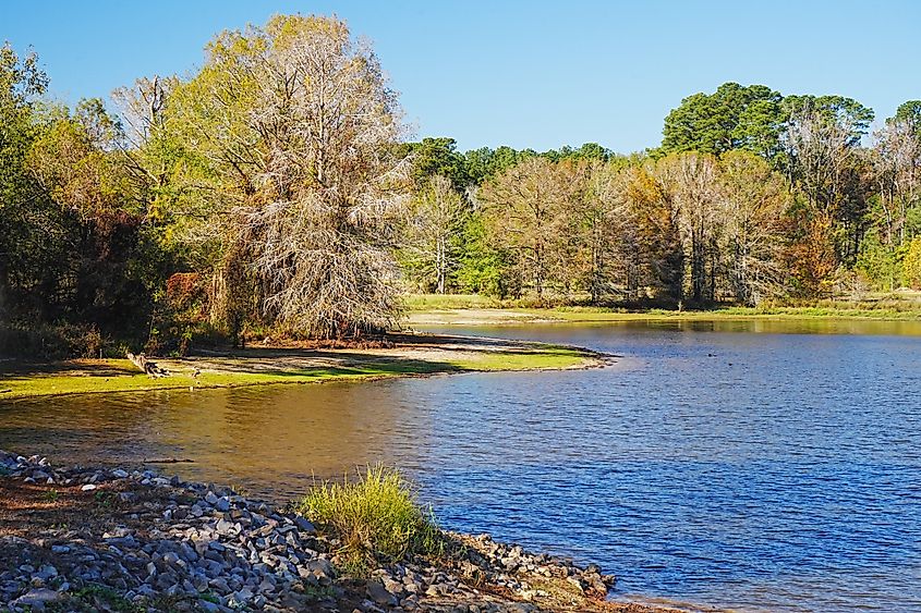 View of the landscape at White Oak Lake State Park