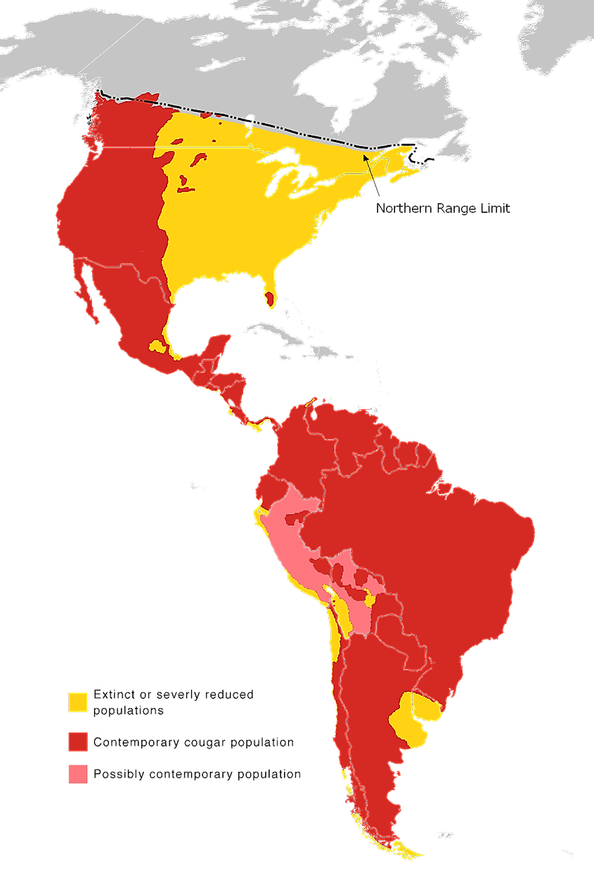 A range map of the cougar across the Americas, with the eastern US marked as extinct or severely reduced.