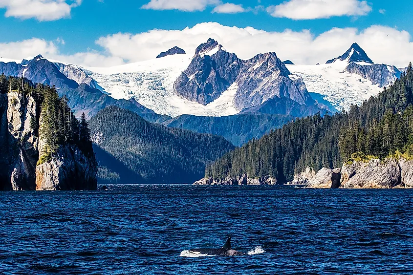View of the mountains and glaciers at Kenai Fjords National Park
