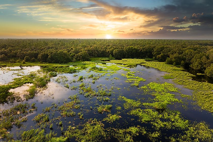 View of the wetlands during sunset at Everglades National Park