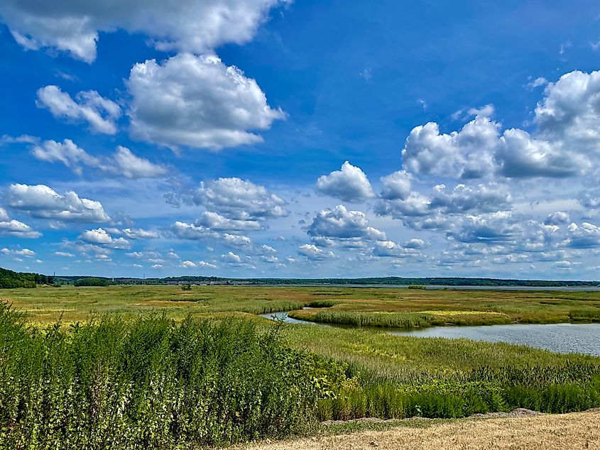 View of the wetlands and brackish marshes along the lower Connecticut River