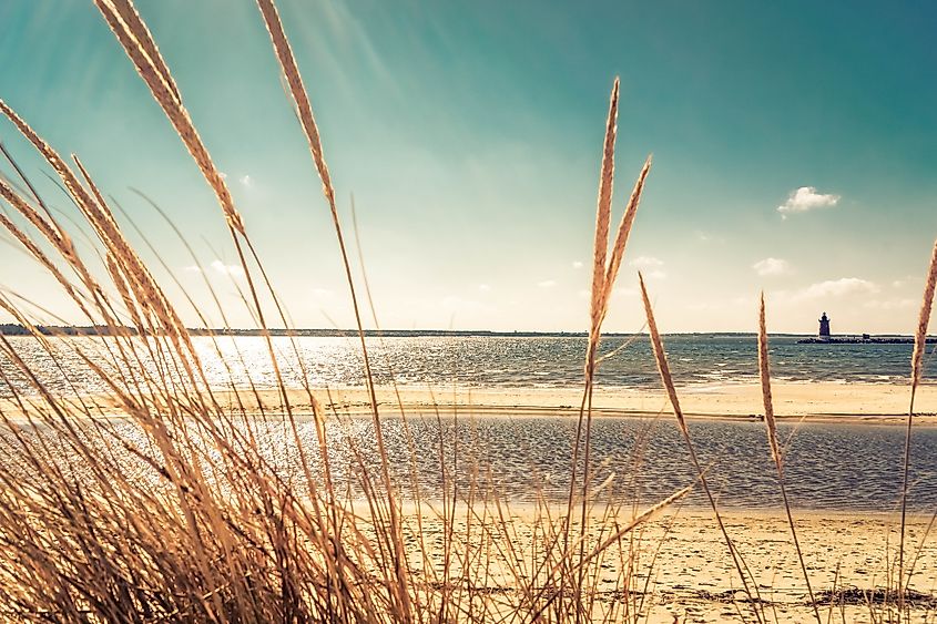 View of the Atlantic coast at Cape Henlopen State Park