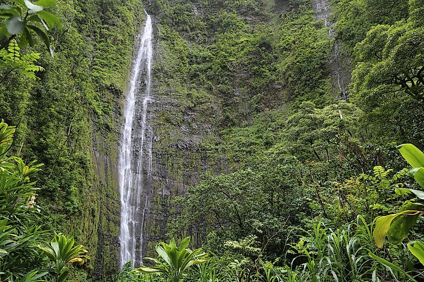 View of Waimoku falls at Haleakalā National Park