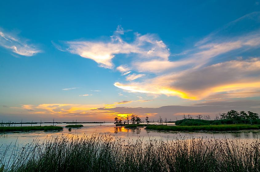 Wetlands of the Mississippi River Delta in Louisiana