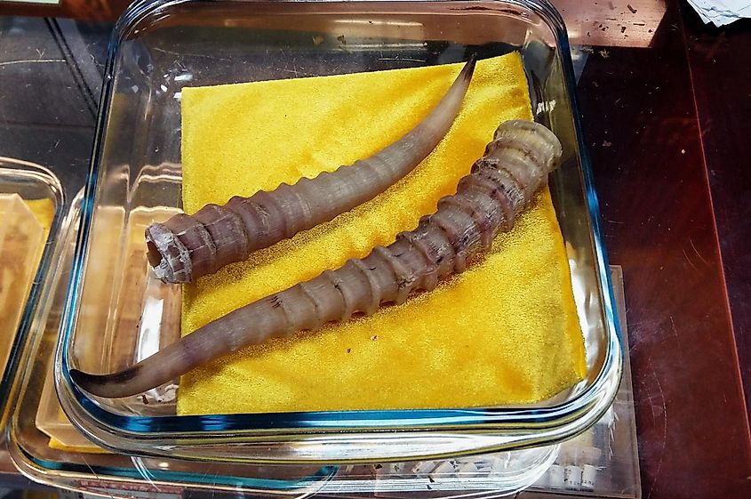 Saiga horns for sale at a pharmacy in China.