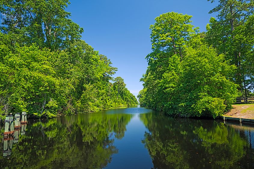 View of a boat channel surrounded by trees at Great Dismal Swamp National Wildlife Refuge