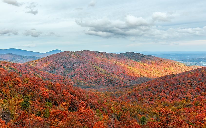 A view of the mountains at Shenandoah National Park