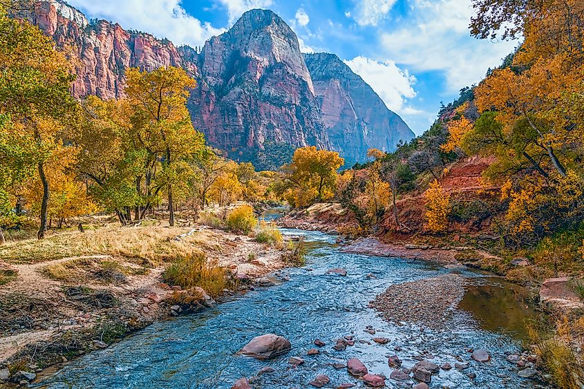 A view of the north fork of the Virgin River and surrounding mountains in Zion National Park