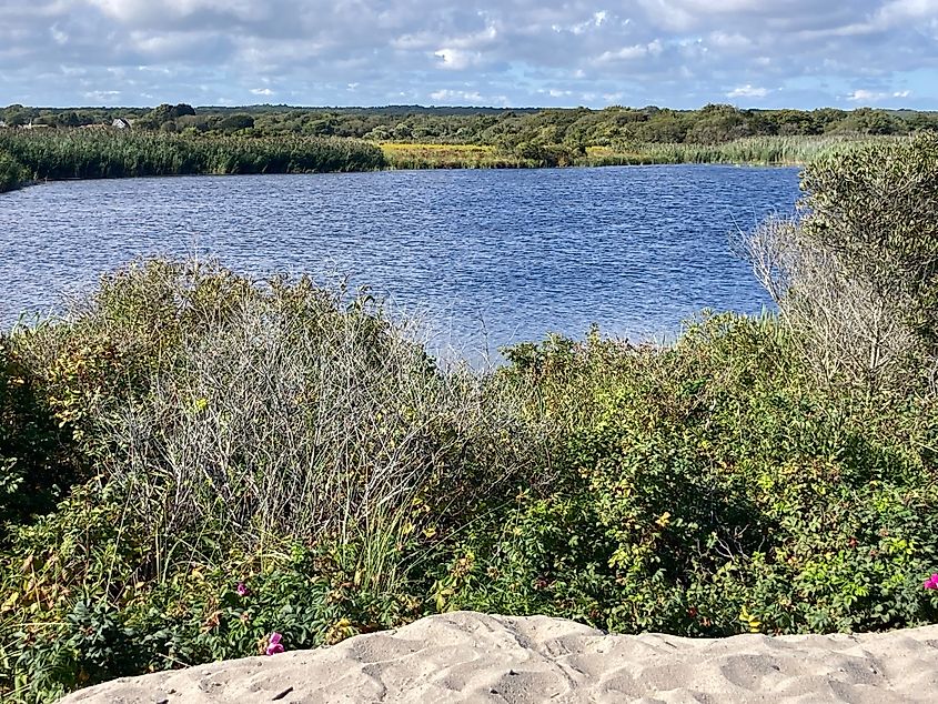 A view of the pond in Trustom Pond National Wildlife Refuge