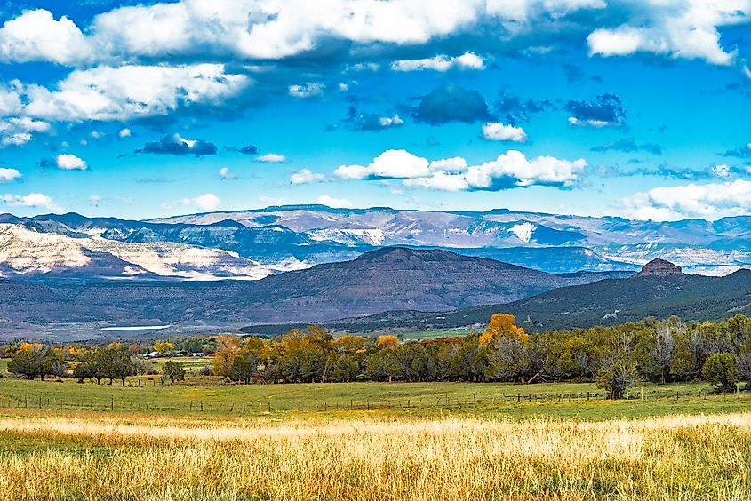 View of the fields and mountains at Grand Mesa National Forest 