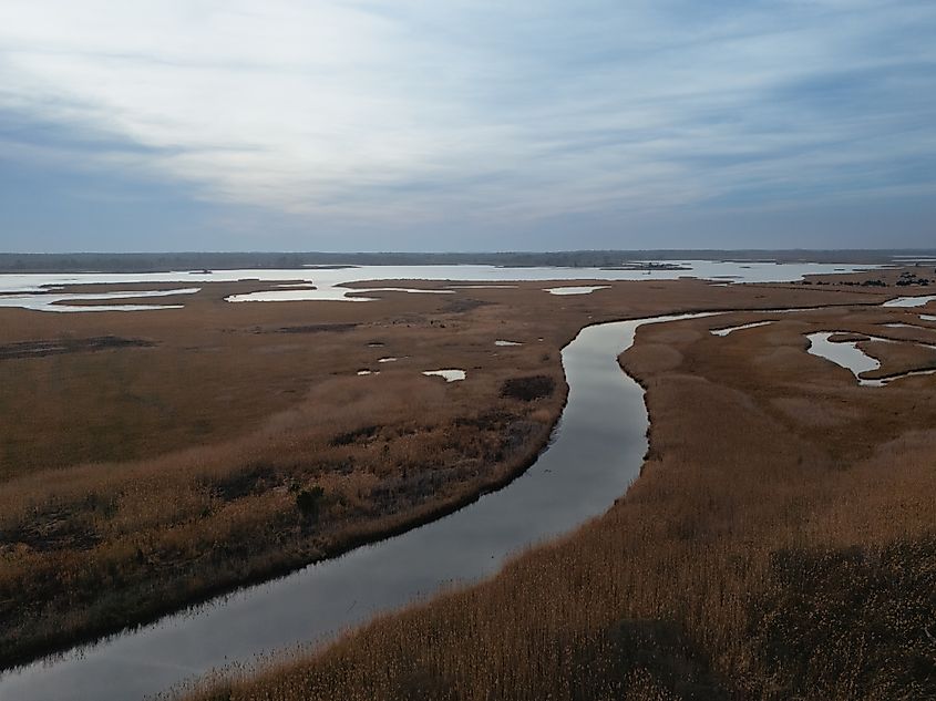 View of a river and the surrounding marshlands at Prime Hook National Wildlife Refuge