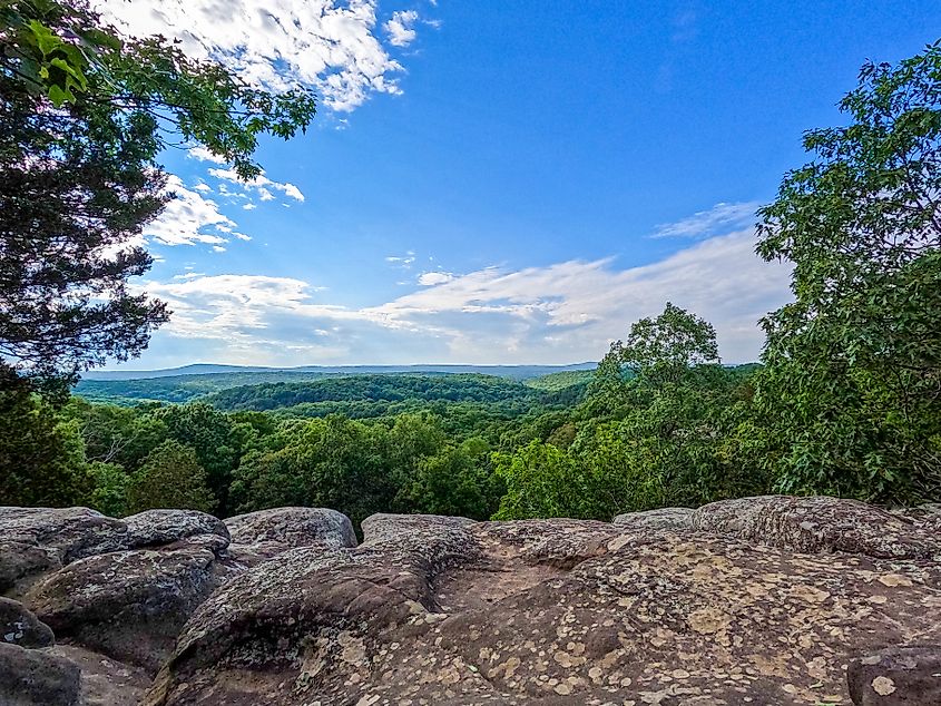View of the tree-dotted landscape at Garden of the Gods