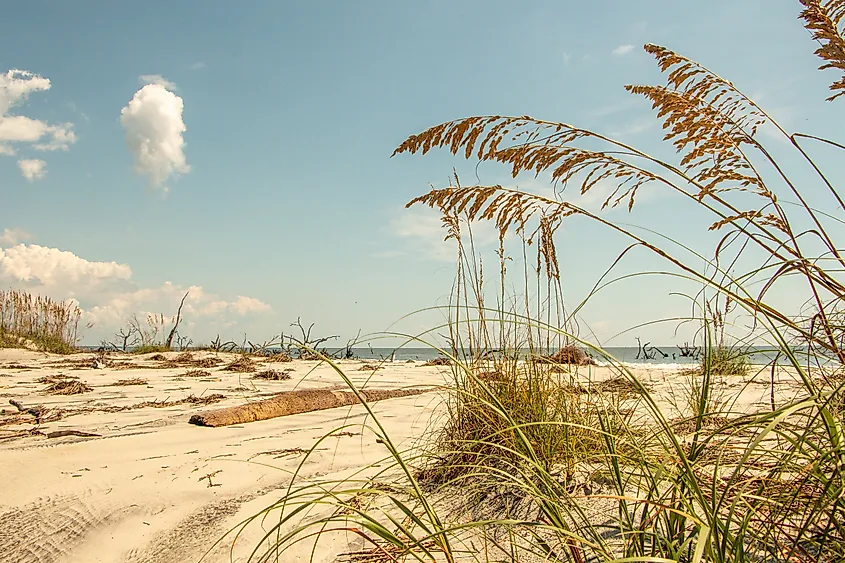 A view of the beach at Hunting Island State Park