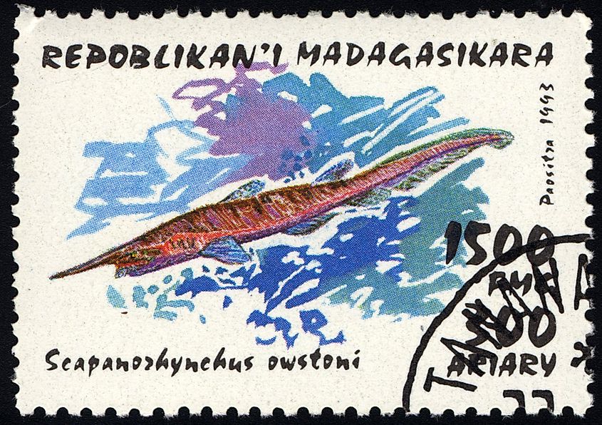 A stamp printed in Malagasy shows Goblin Shark (Scapanorhynchus owstoni), circa 1993. 