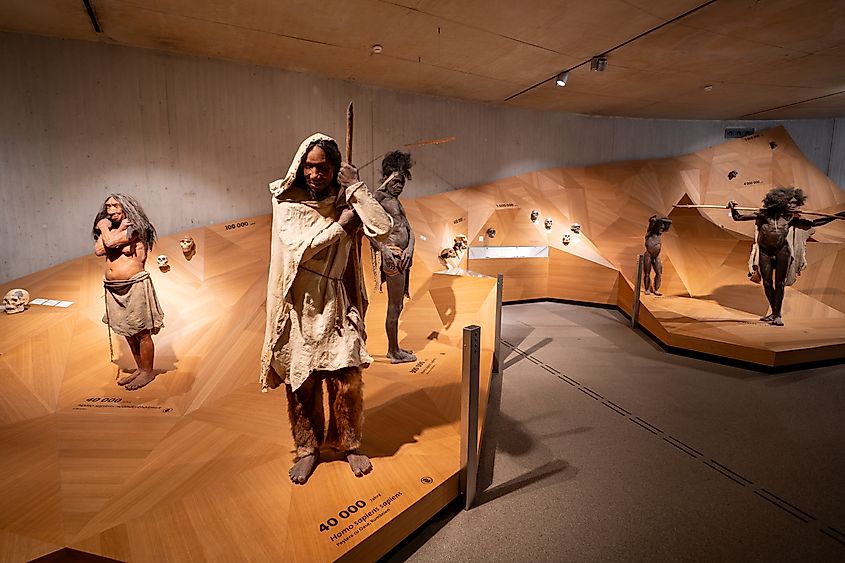 Human Evolution Timeline Exhibition at the Neanderthal Museum in Germany