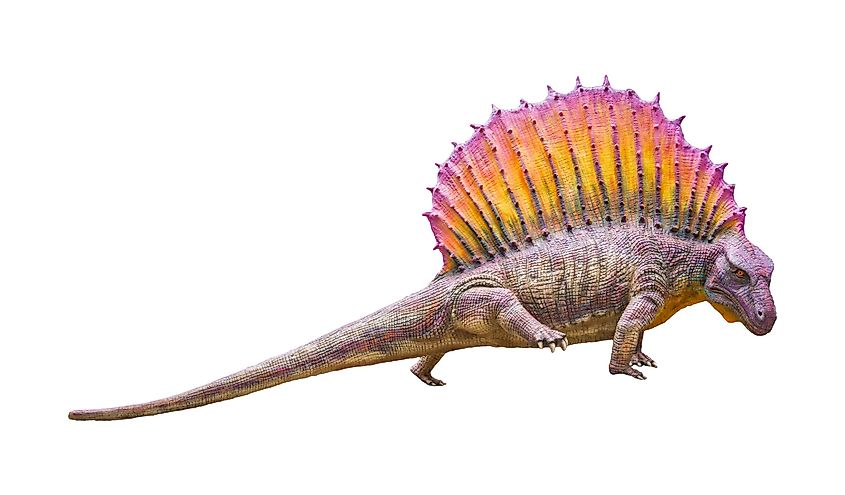 An illustration of synapsids, the dominant land animals of the Permian period.