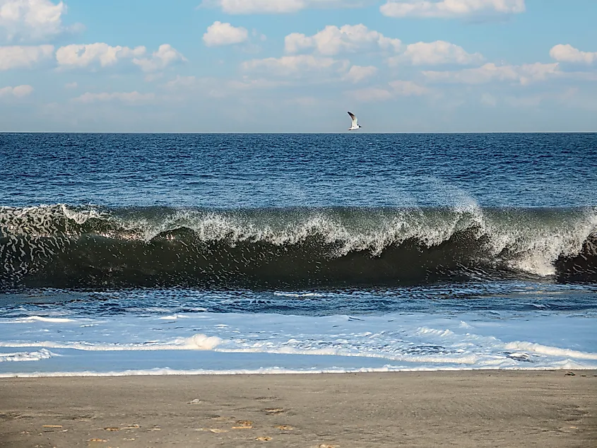 View of the waves crashing on the beach of Sandy Hook
