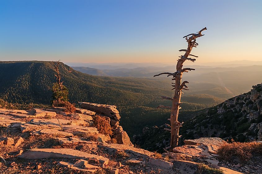 View of the sunset and scenic landscape along the Mogollon Rim 