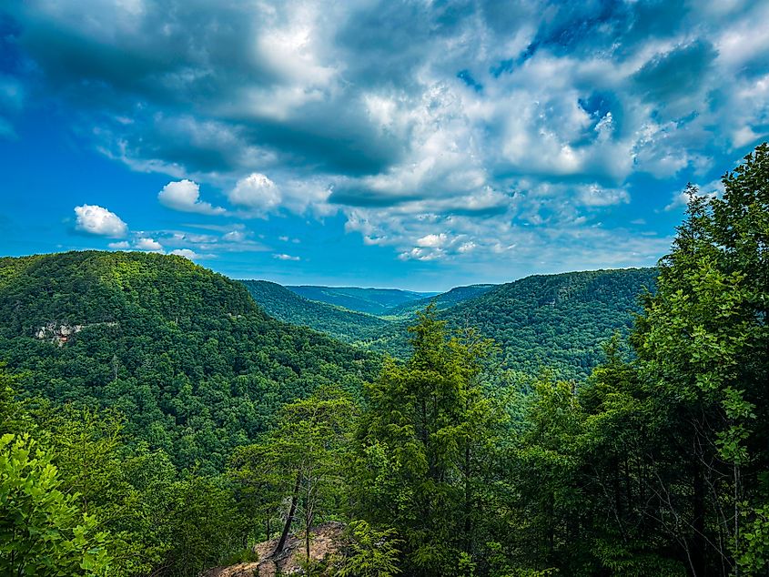 A view of the trees and mountains at Fall Creek Falls State Park, Tennessee