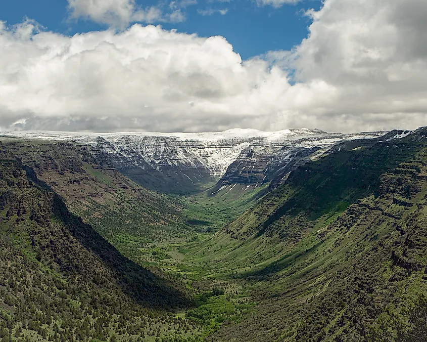 A view of Blitzen Canyon in the Steens Mountains