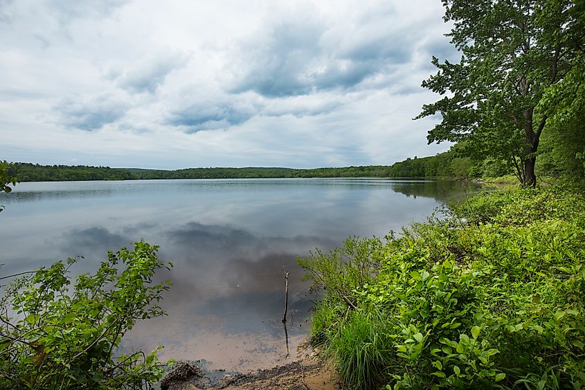 View of Mansfield Hollow Lake at Mansfield Hollow State Park in Mansfield
