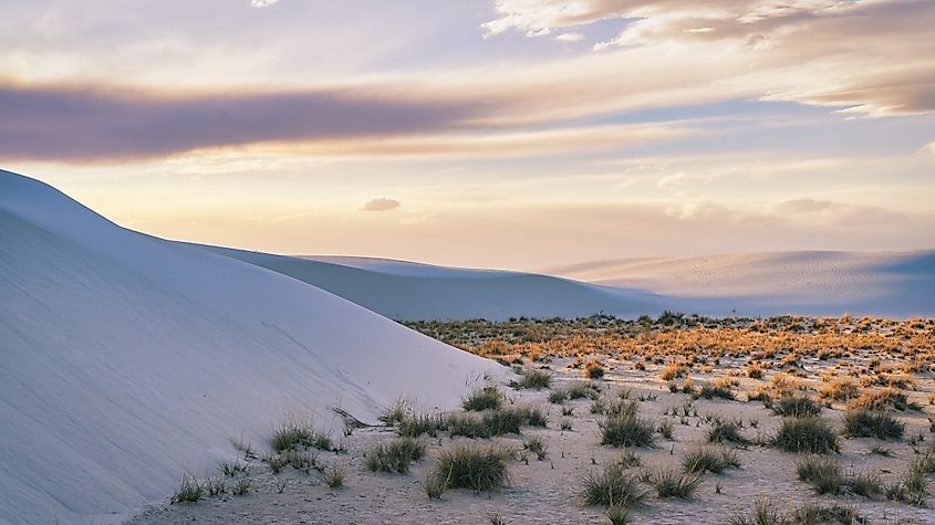 View of the sand dunes during sunset at White Sands National Park