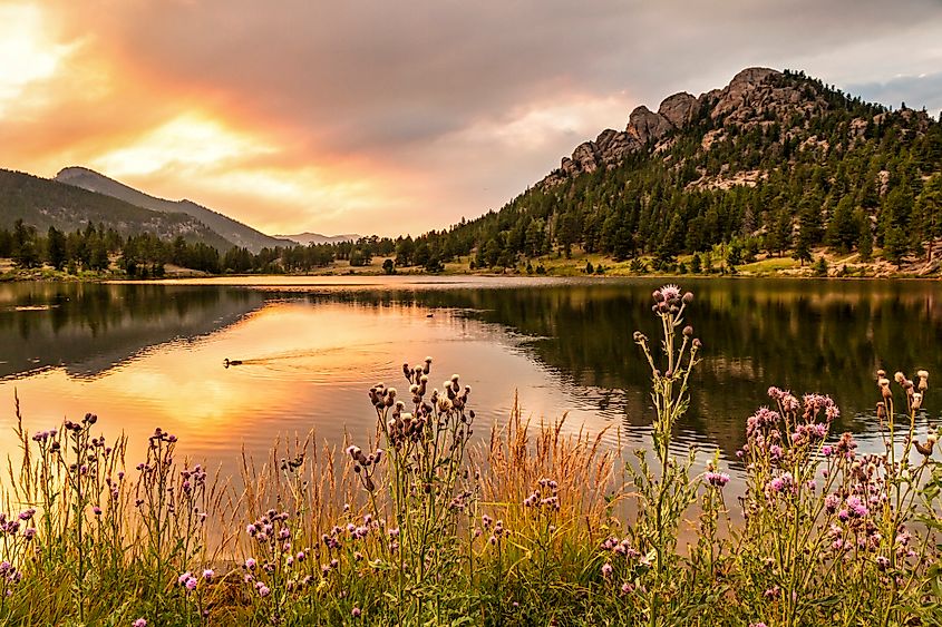 View of Lily Lake and the surrounding terrain during sunset at Rocky Mountain National Park