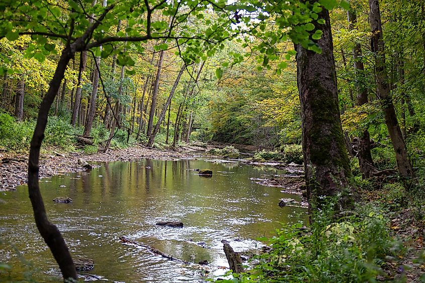 A view of a river in John Bryan State Park