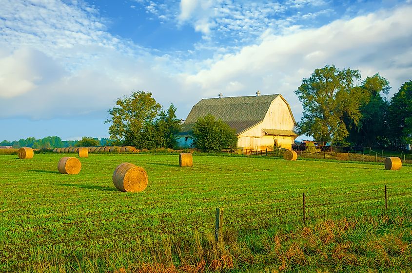 View of a barn surrounded by agricultural fields in Tipton County, Indiana