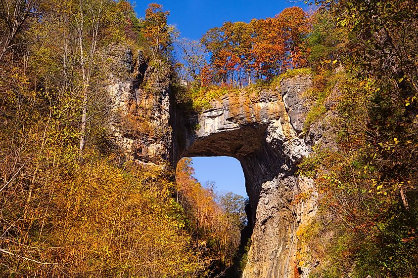A view of the limestone arch at Natural Bridge State Park