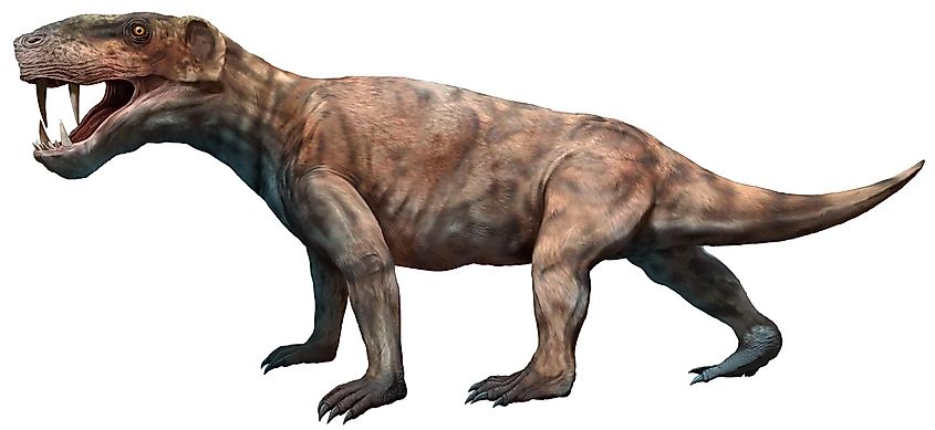 An illustration of cynodonts, advanced therapsids that gave rise to mammals.