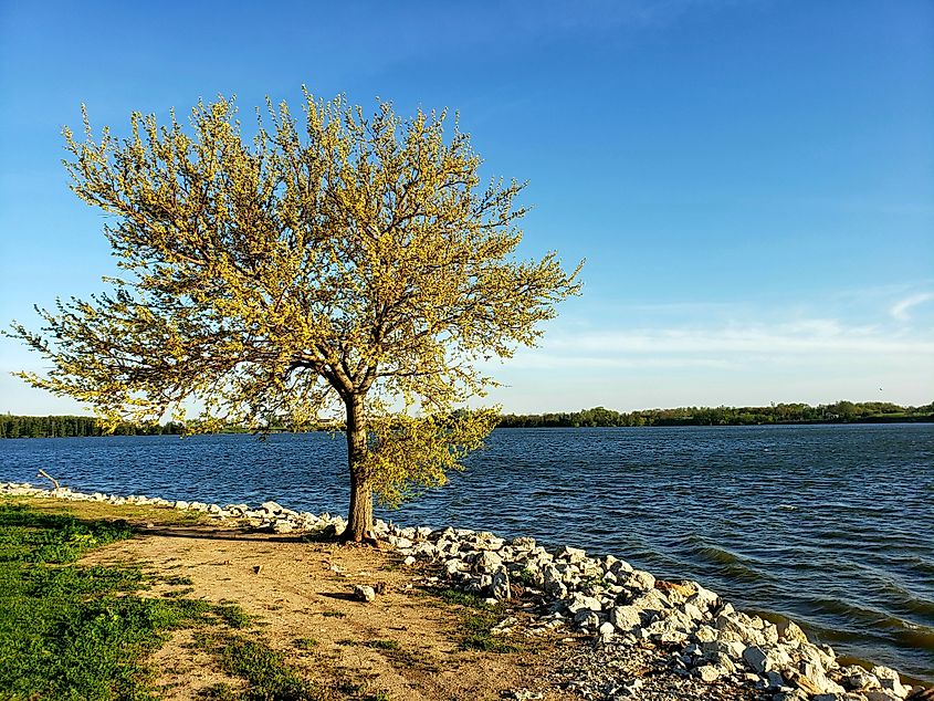 View of a lake at Clinton Lake State Recreation Area