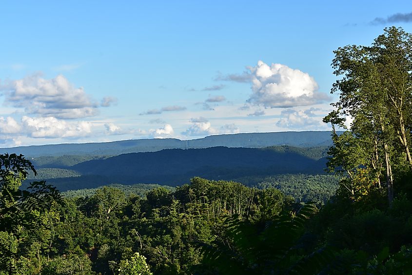 A view of the mountains and dense forests, part of the Hatfield-McCoy Trail System