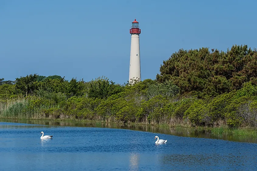 View of Cape May Lighthouse at Cape May Point State Park