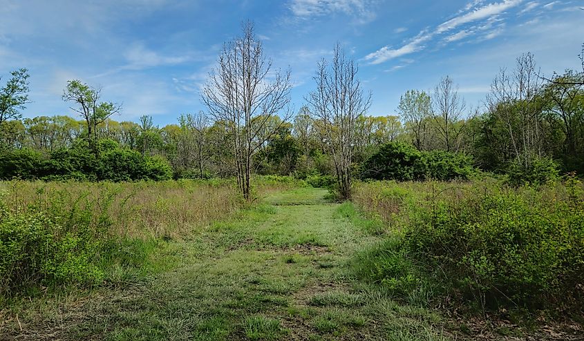 A grassy footpath at Highbanks Metro Park