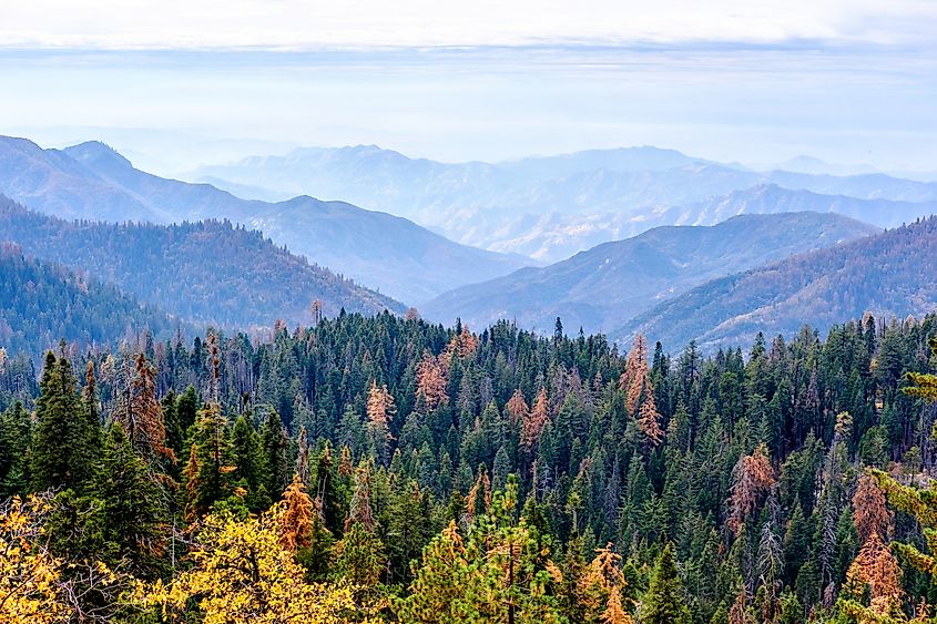 View of the mountainous landscape at Sequoia National Park