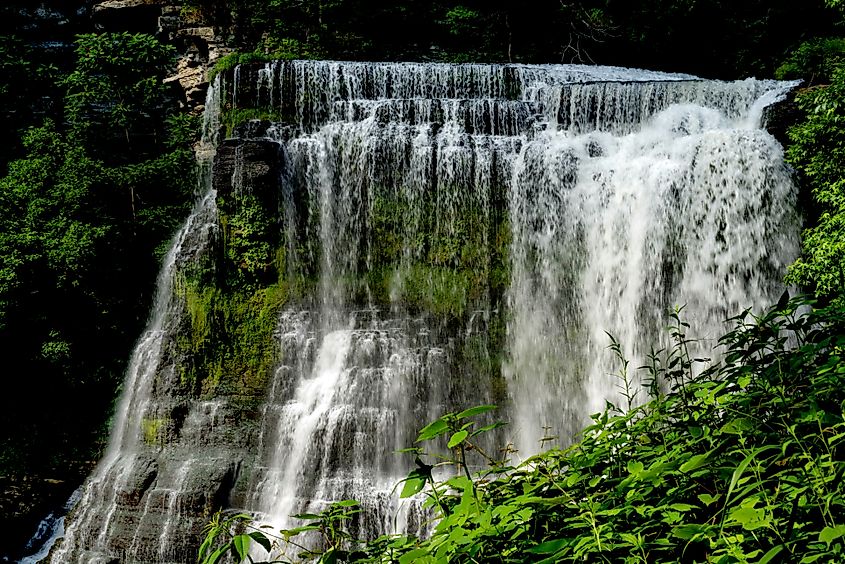 A view of Burgess Falls at Burgess Falls State Park