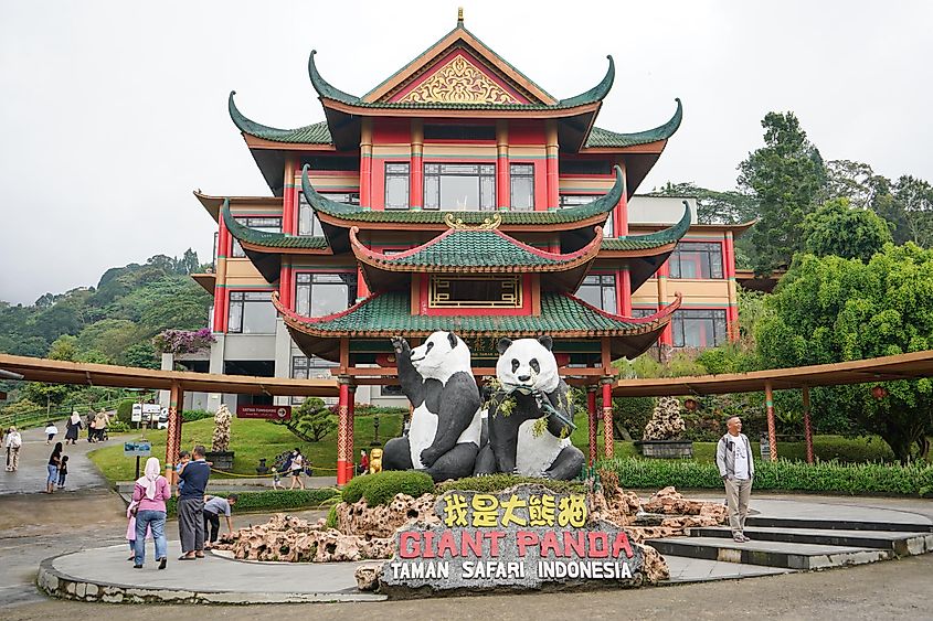 Panda Palace, Cisarua Safari Park, a breeding and conservation place for the Giant panda in Bogor, Indonesia. Editorial credit: FarisFitrianto / Shutterstock.com
