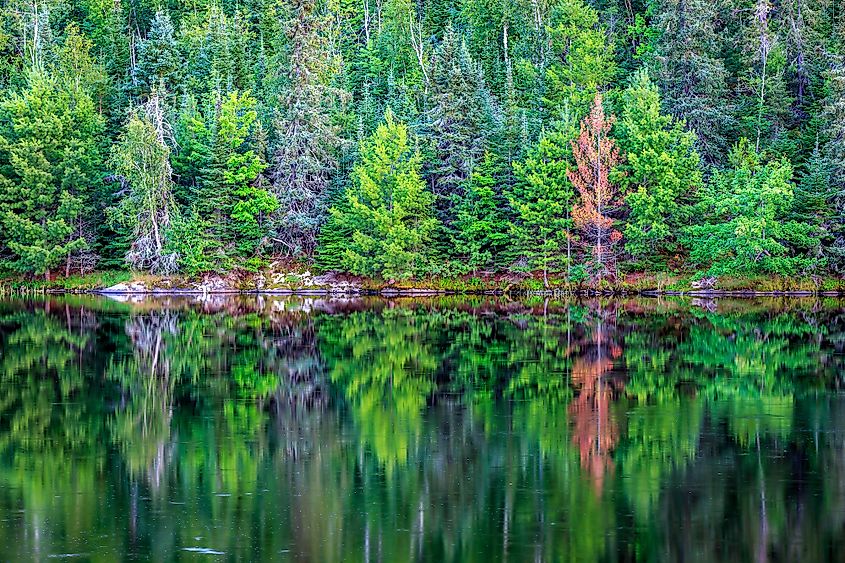 A lake in Voyageurs National Park, Minnesota