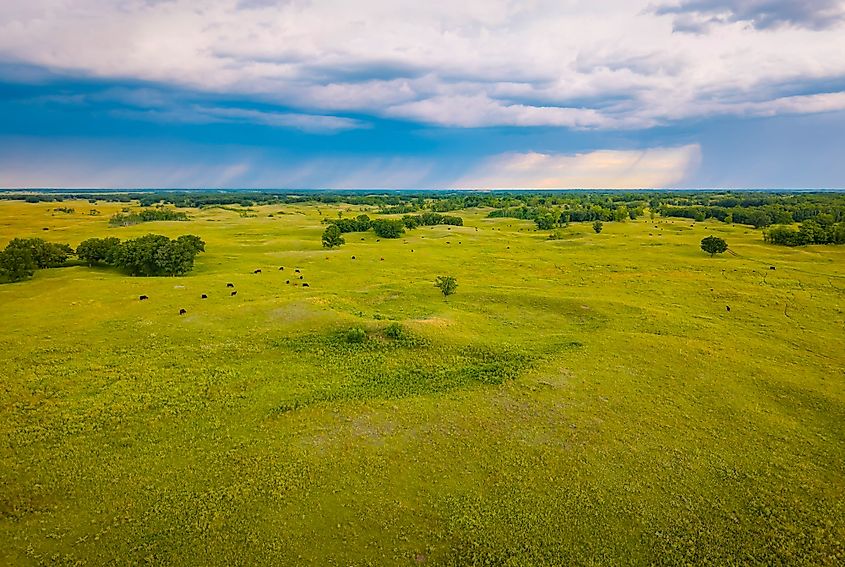 Landscape at Sheyenne National Grassland in North Dakota