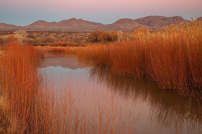 View of the mountains at Bosque del Apache National Wildlife Refuge