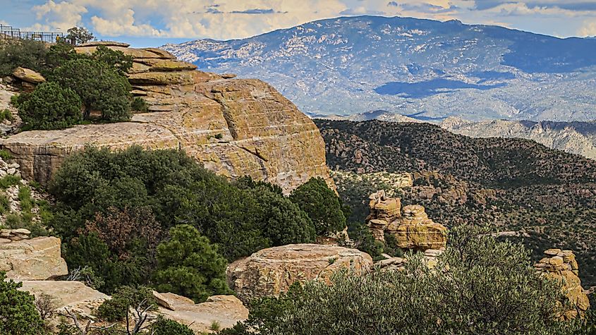 View of the rugged peaks of Mount Lemmon