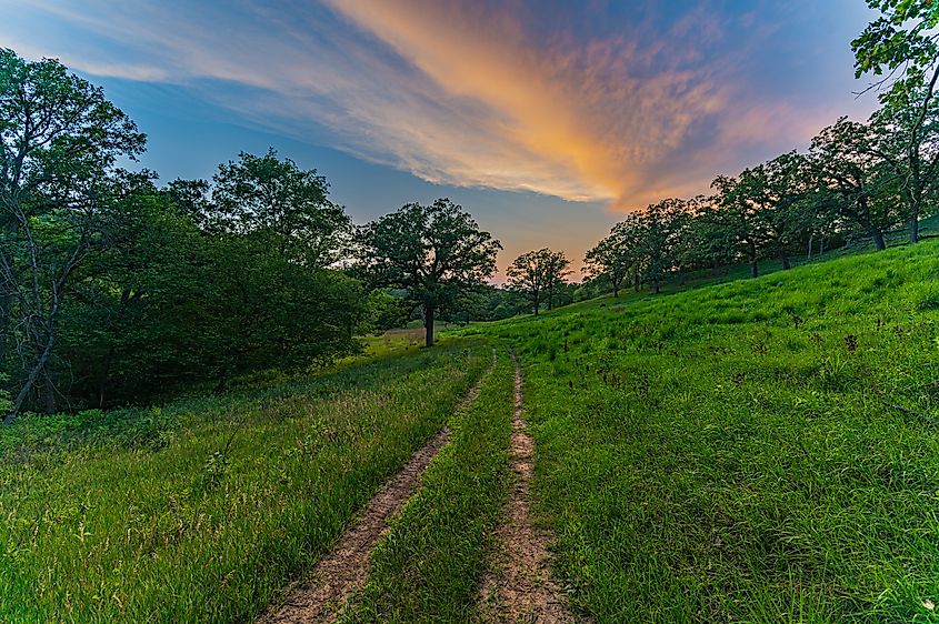 View of the grassy hills and trees at Hitchcock Nature Center