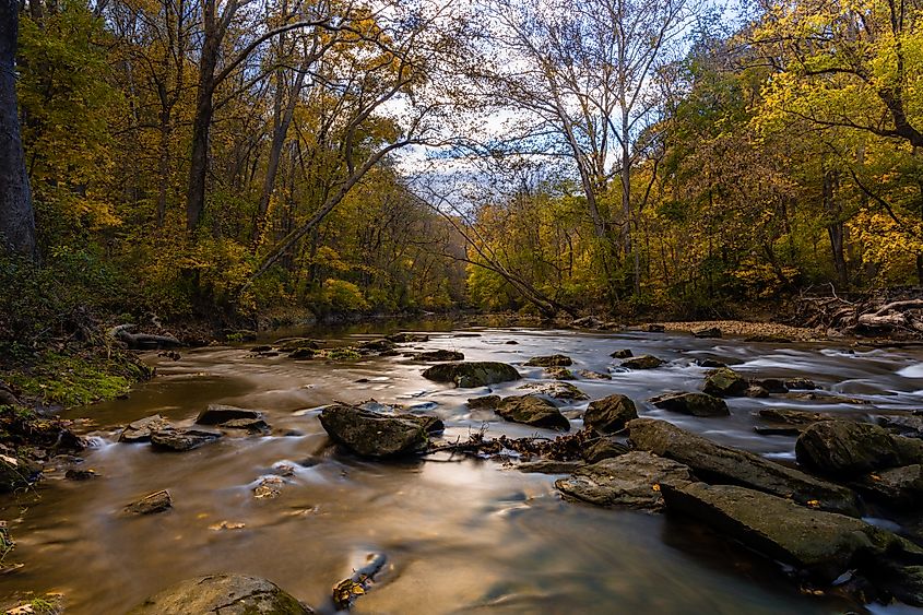 View of a river flowing in the forest in White Clay Creek State Park, Delaware