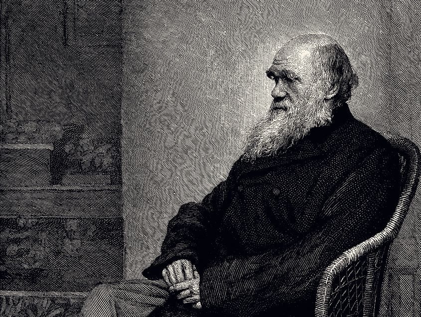 A vintage engraving of Charles Darwin