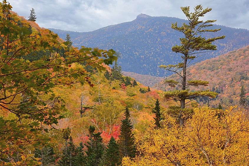 Mount Crawford viewed from Crawford Notch State Park